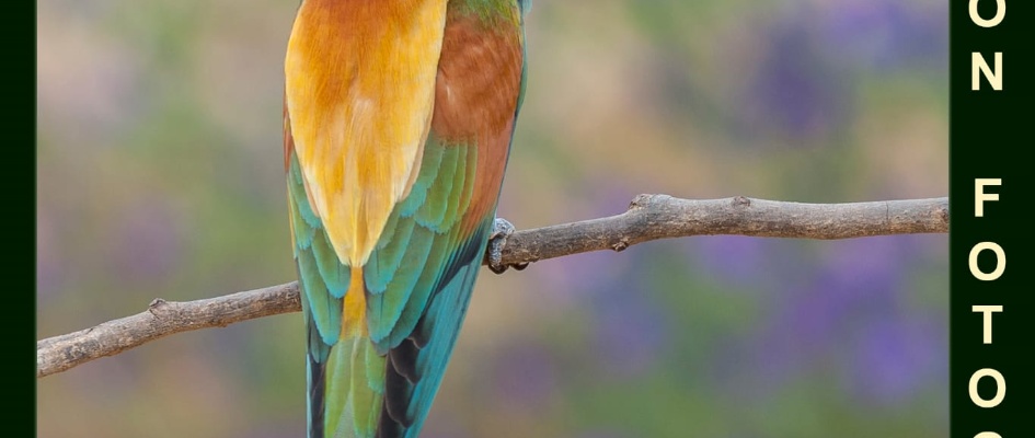 WhatsApp Image 2023-08-12 at 12.52.10 (1)