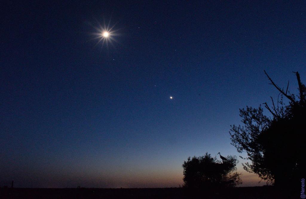 nocturno-nene-planetas