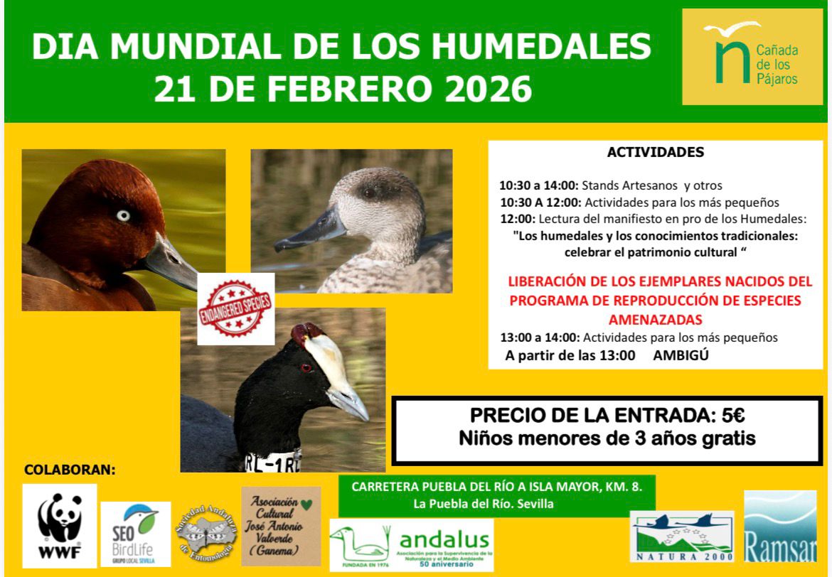 WhatsApp Image 2026-02-17 at 09.42.25 (1)