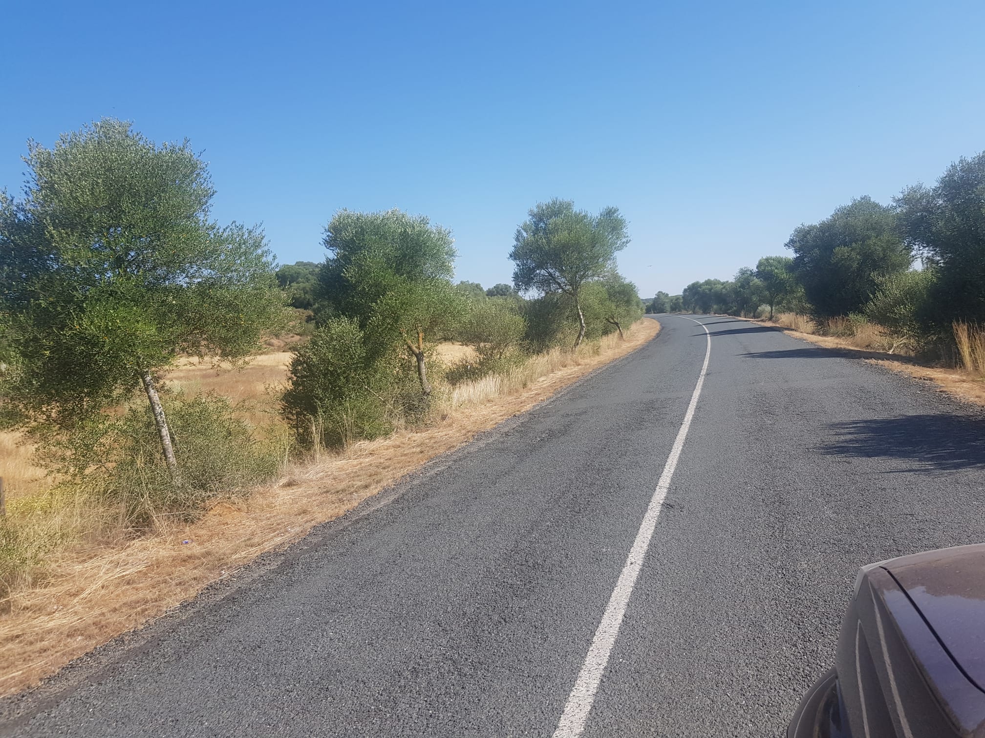 Carretera Dehesa de Abajo