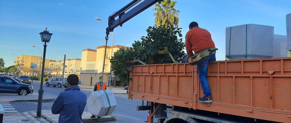 WhatsApp Image 2020-12-21 at 17.48.49-2