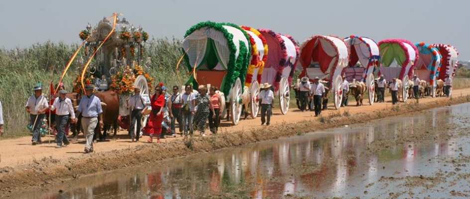 11146591_1583600751914640_7945900477594314684_n