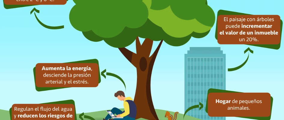 Captura de pantalla 2020-11-20 a las 19.05.52