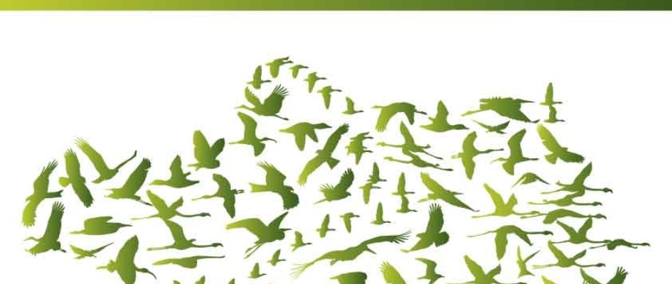 cartel birdfair 2019 recorte