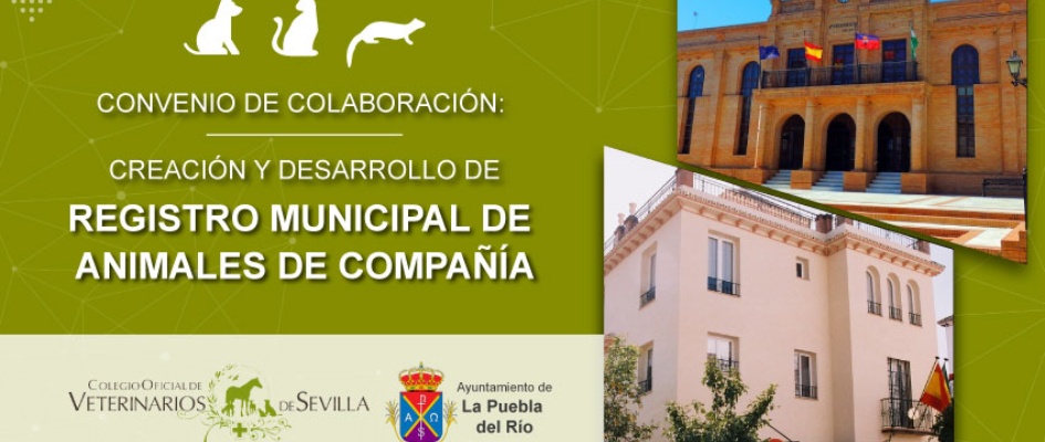 convenios-puebla-rio-web