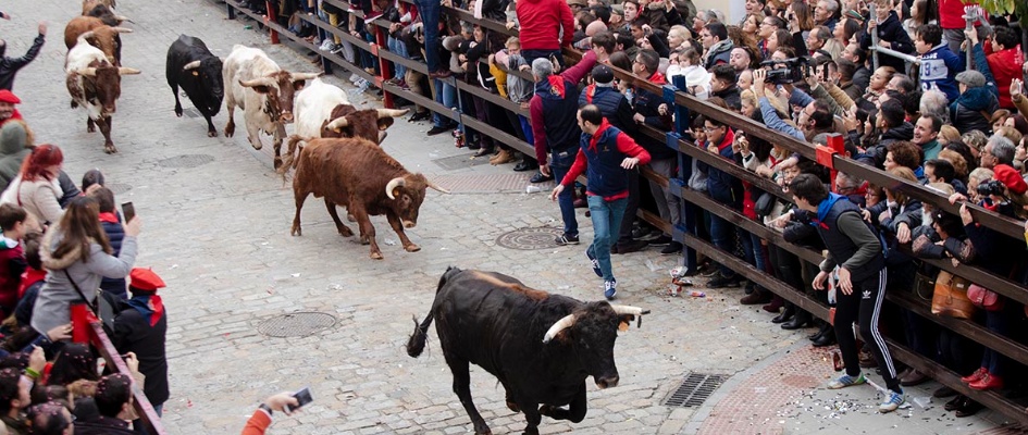 fiestas san sebastian puebla_26