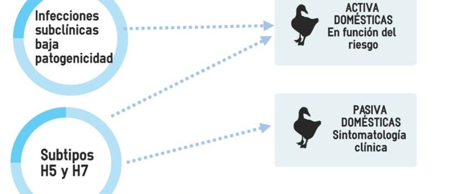 prog_vig_ia_tcm30-111399