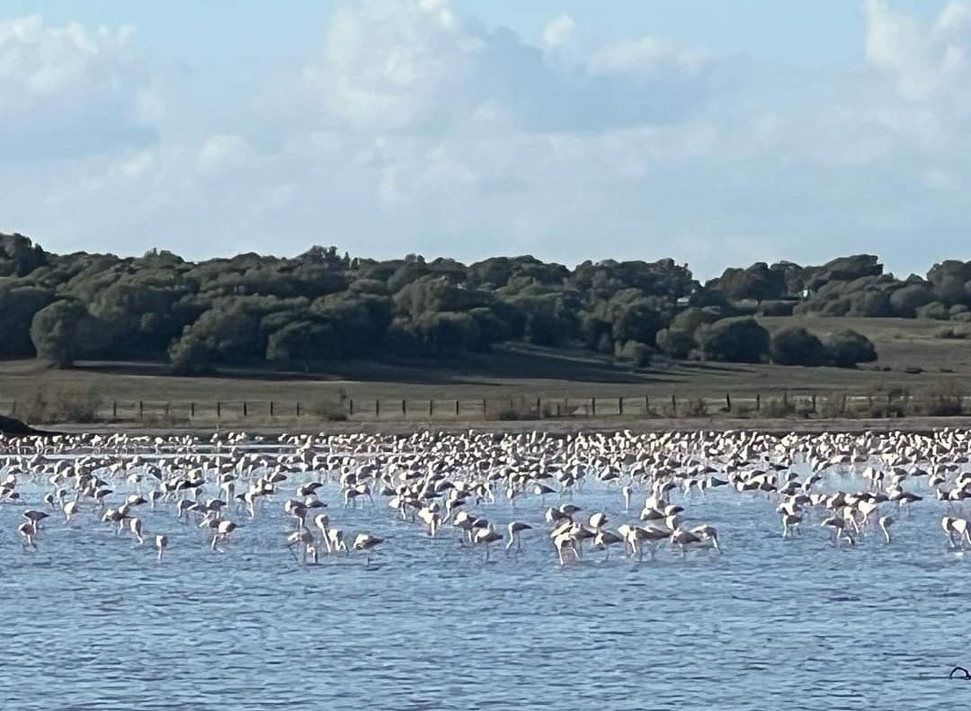 Screenshot_20231030_093122