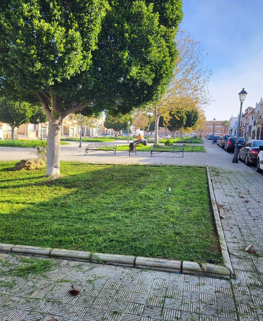 Screenshot_20231215_092919