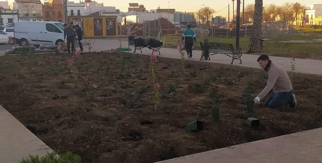 Screenshot_20231222_110711