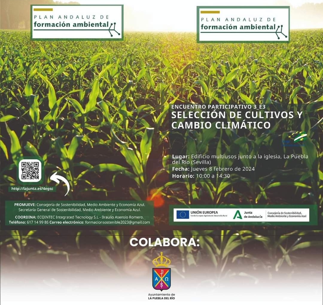 Screenshot_20240207_112537