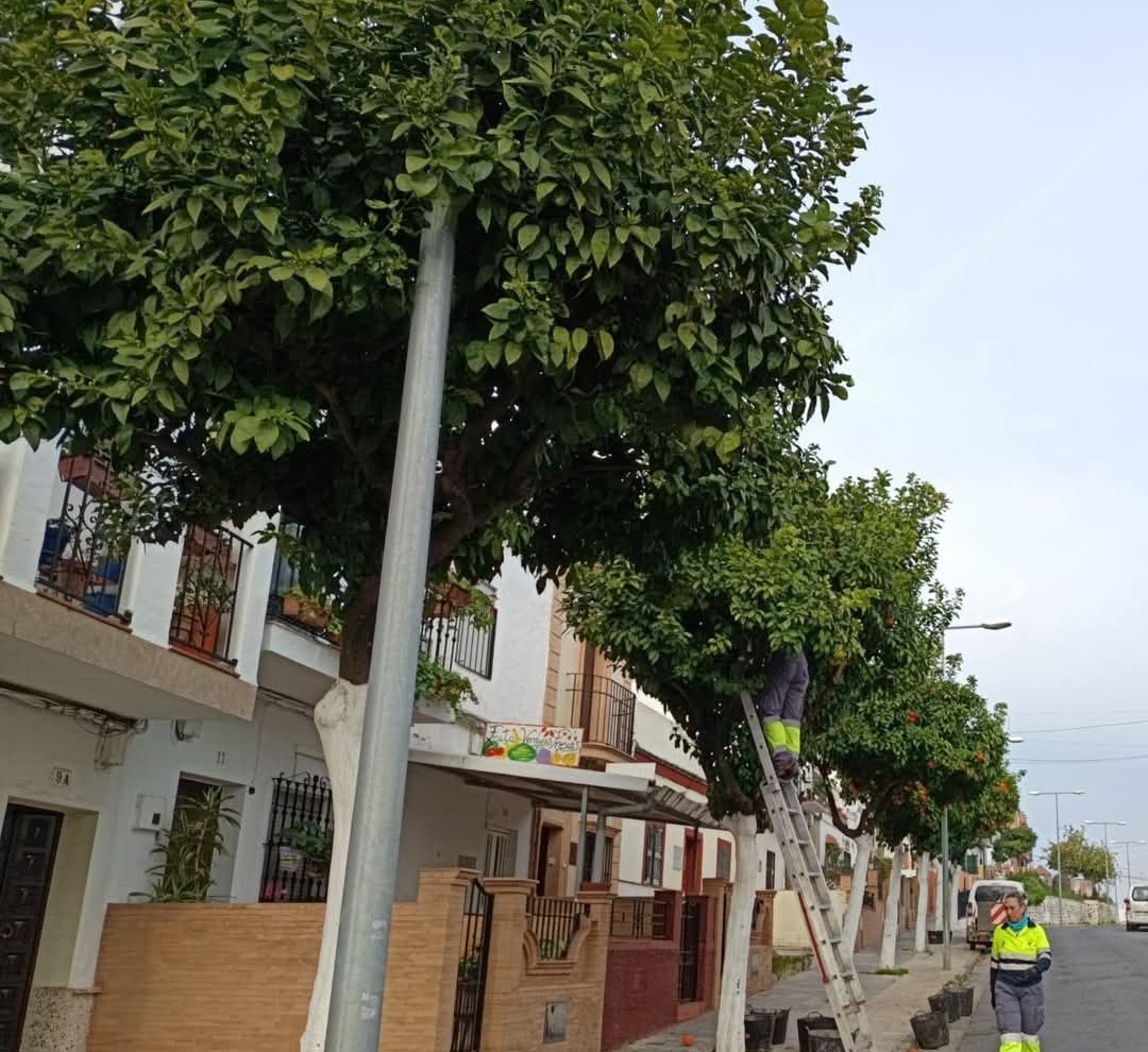 Screenshot_20250226_095930_com.facebook.katana_edit_1585287960897686