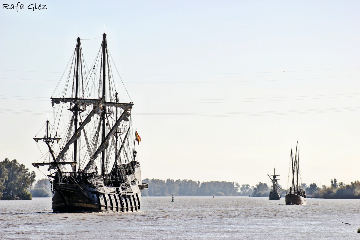 Alimento para la vista