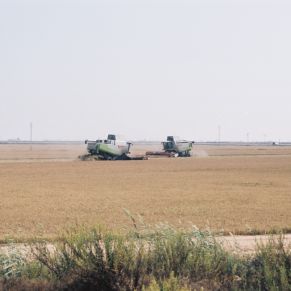 17242653011_58666e7d02_o