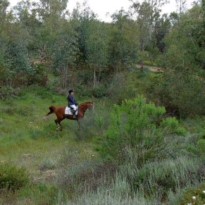 17111811569_82a2ace2d3_o