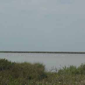 17260507366_1915b2149f_o