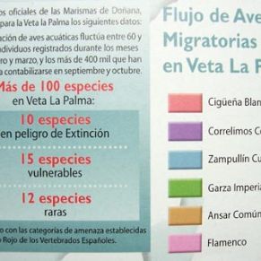 veta_migracion2