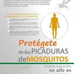 cartel-precaucion-mosquitos-JA.jpg_35053612