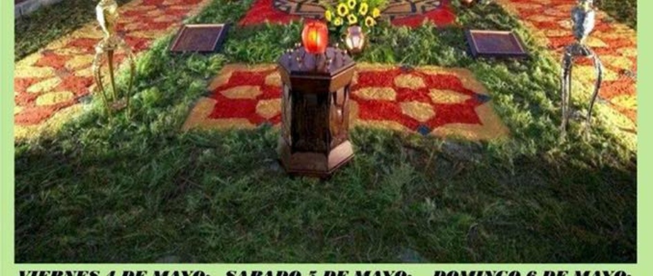 31944331_994710717364152_7597157217971732480_n