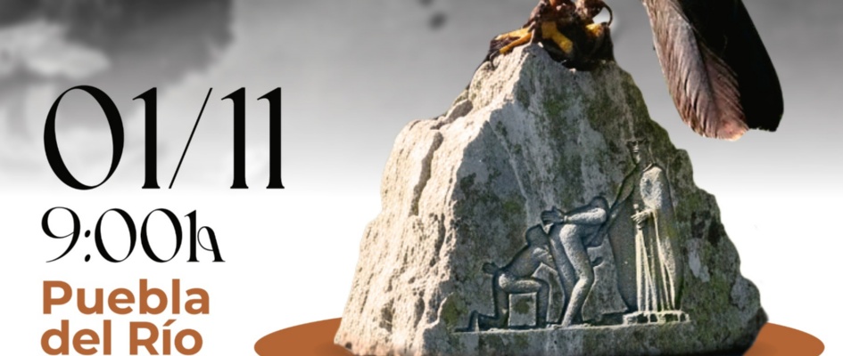 Imagen de WhatsApp 2025-10-11 a las 20.00.07_82af55fa