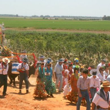 10428558_1508623066079076_4506185204225800215_n