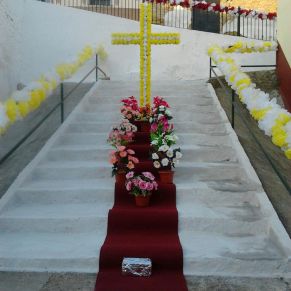 229710_286364204837062_436762958_n