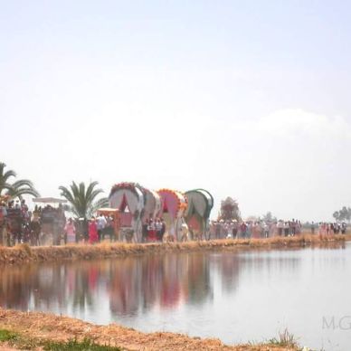 32332117_2084370341837676_194828220581806080_n