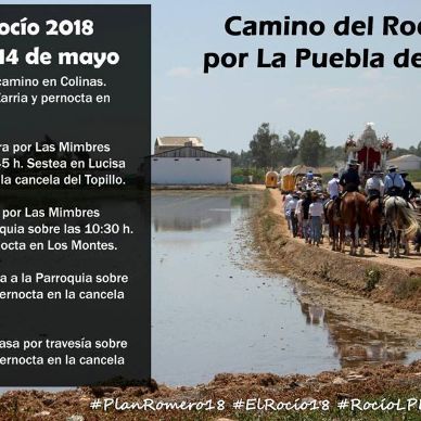 32635761_155728871943648_2670877399301750784_n