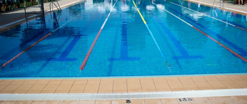 43833071012_f36d09df15_o