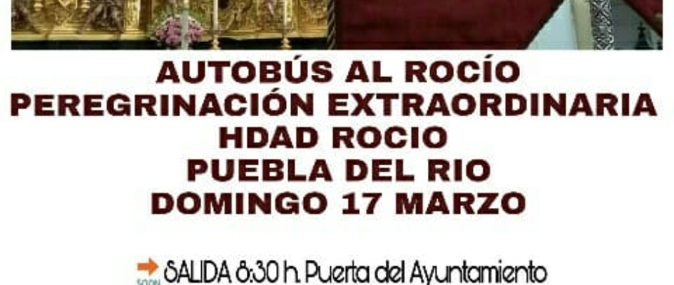 52146466_357528691763664_2152966633314844672_n