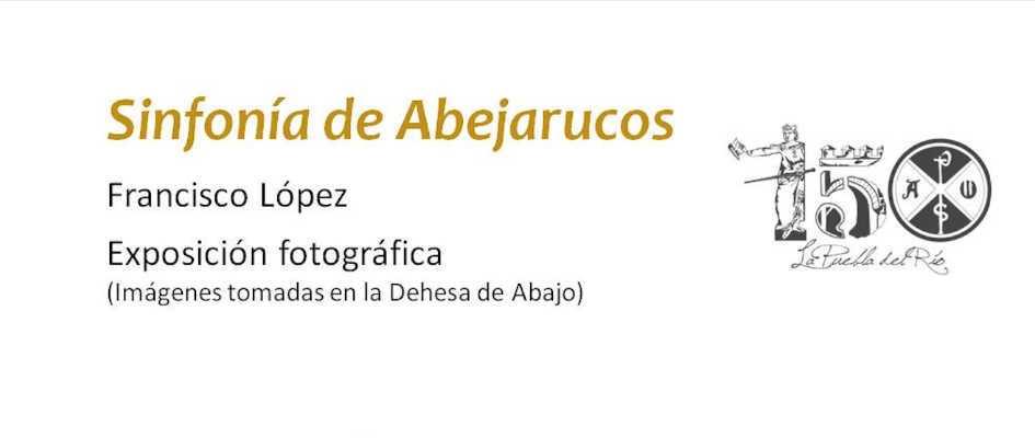 Captura de Pantalla 2022-09-07 a las 9.50.54