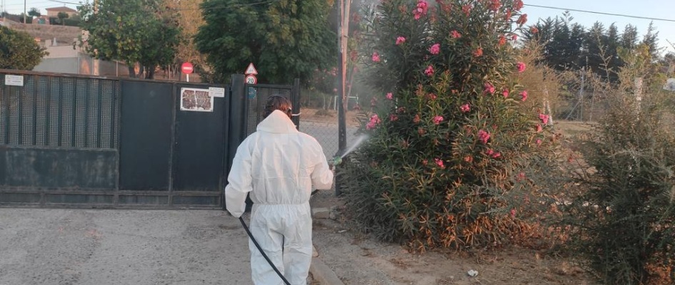 Foto 7-9-22, 10 10 17