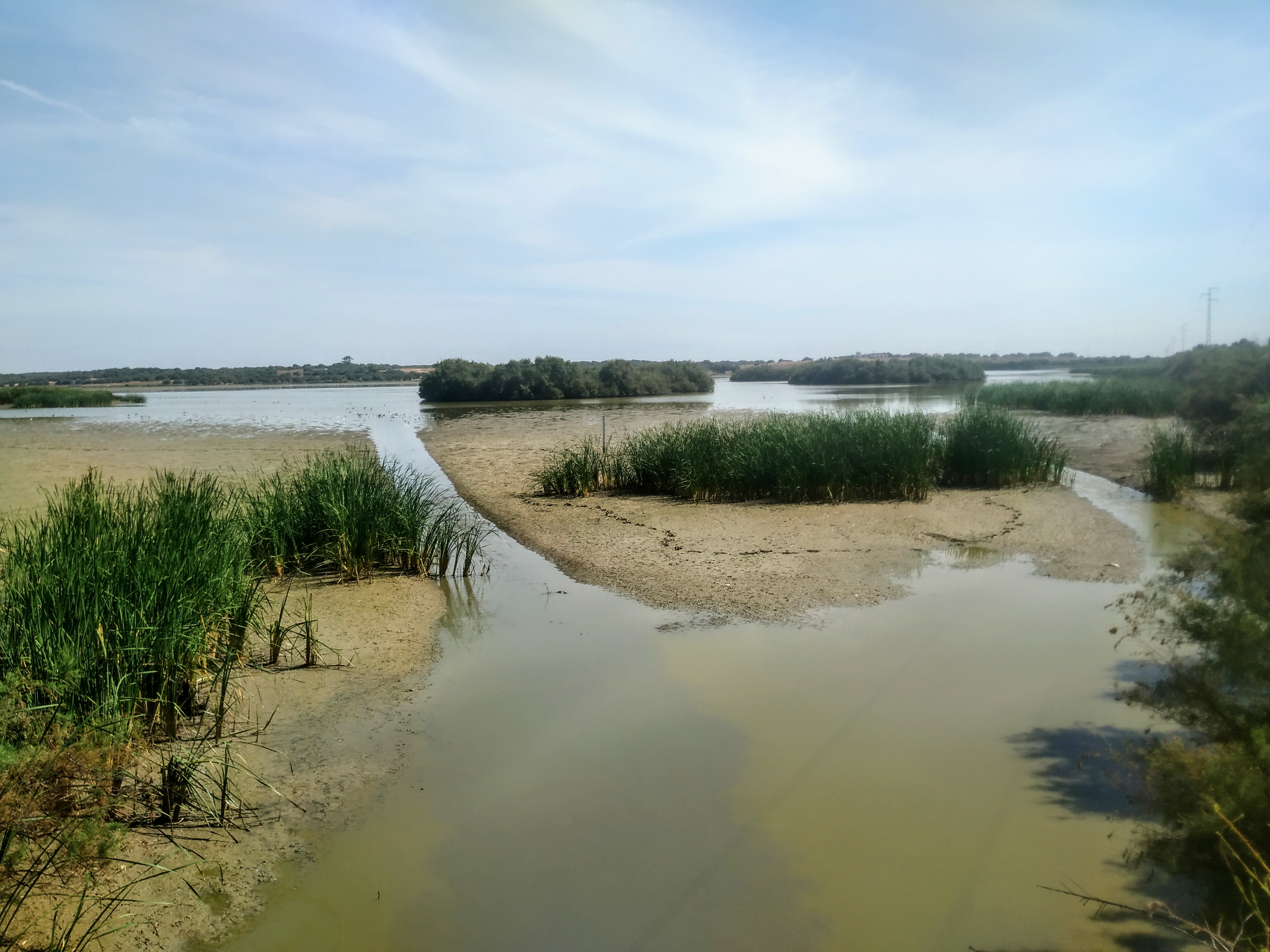 IMG_20200803_115008~2