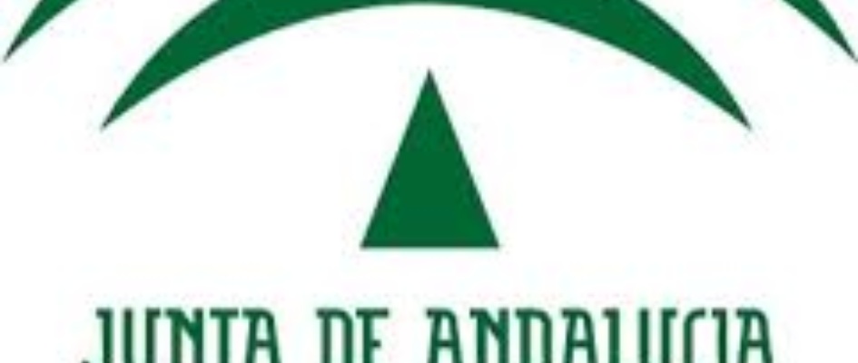Logo_IAJ_InstitutoAndaluz_Juventud.jpg