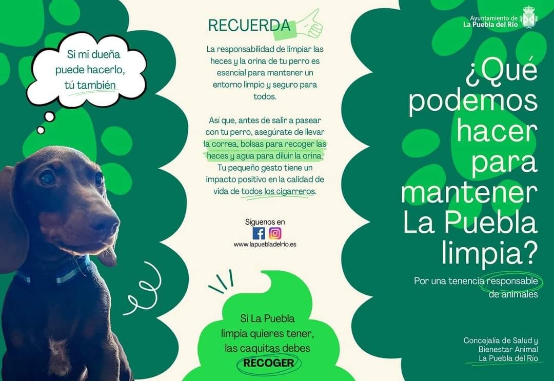 Screenshot_20231005_093851