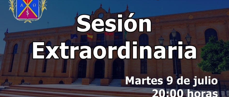 Sesión extraordinaria pleno 9 julio