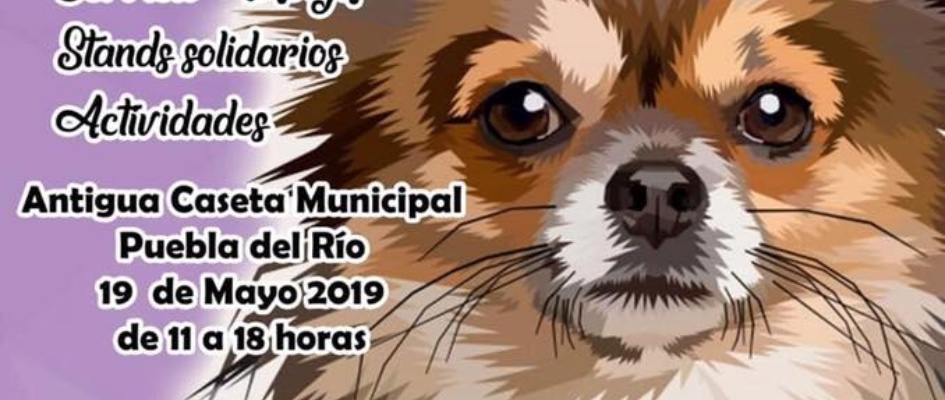 59744711_1250572838444604_7801087191513300992_n