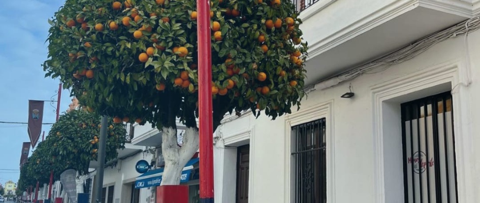 9942f6cb-a082-4978-8247-51847d11e5a7