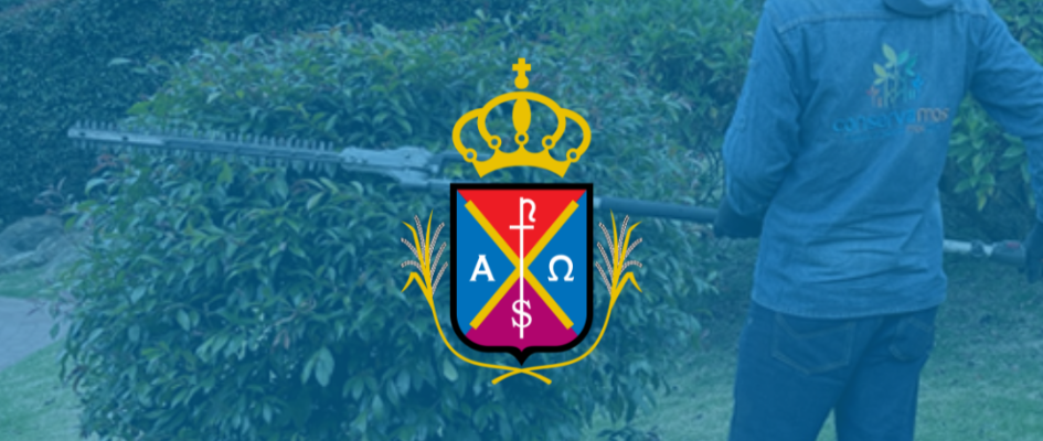 Azul Limpio Informativo Educación Aprendizaje a Distancia Post de Instagram_20240816_105730_0000