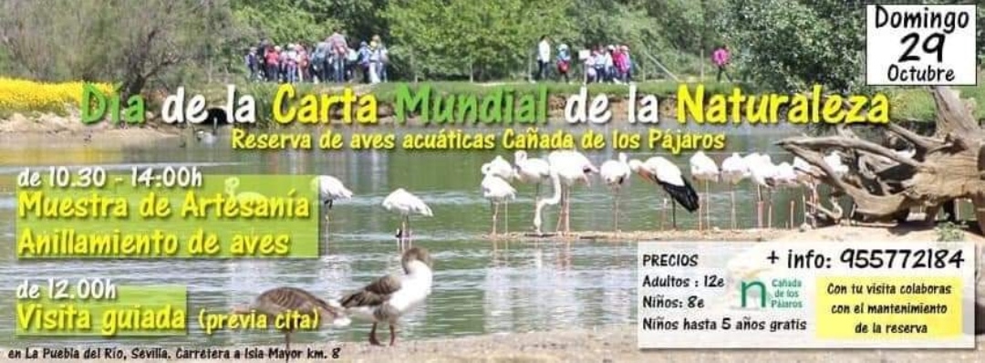 Screenshot_20231030_093152