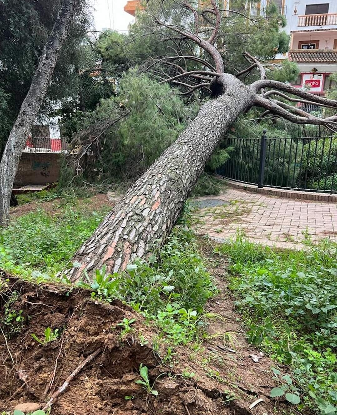 Screenshot_20231031_092542