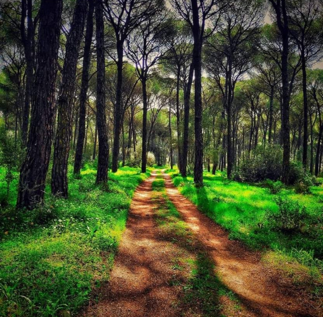 Screenshot_20231103_094423