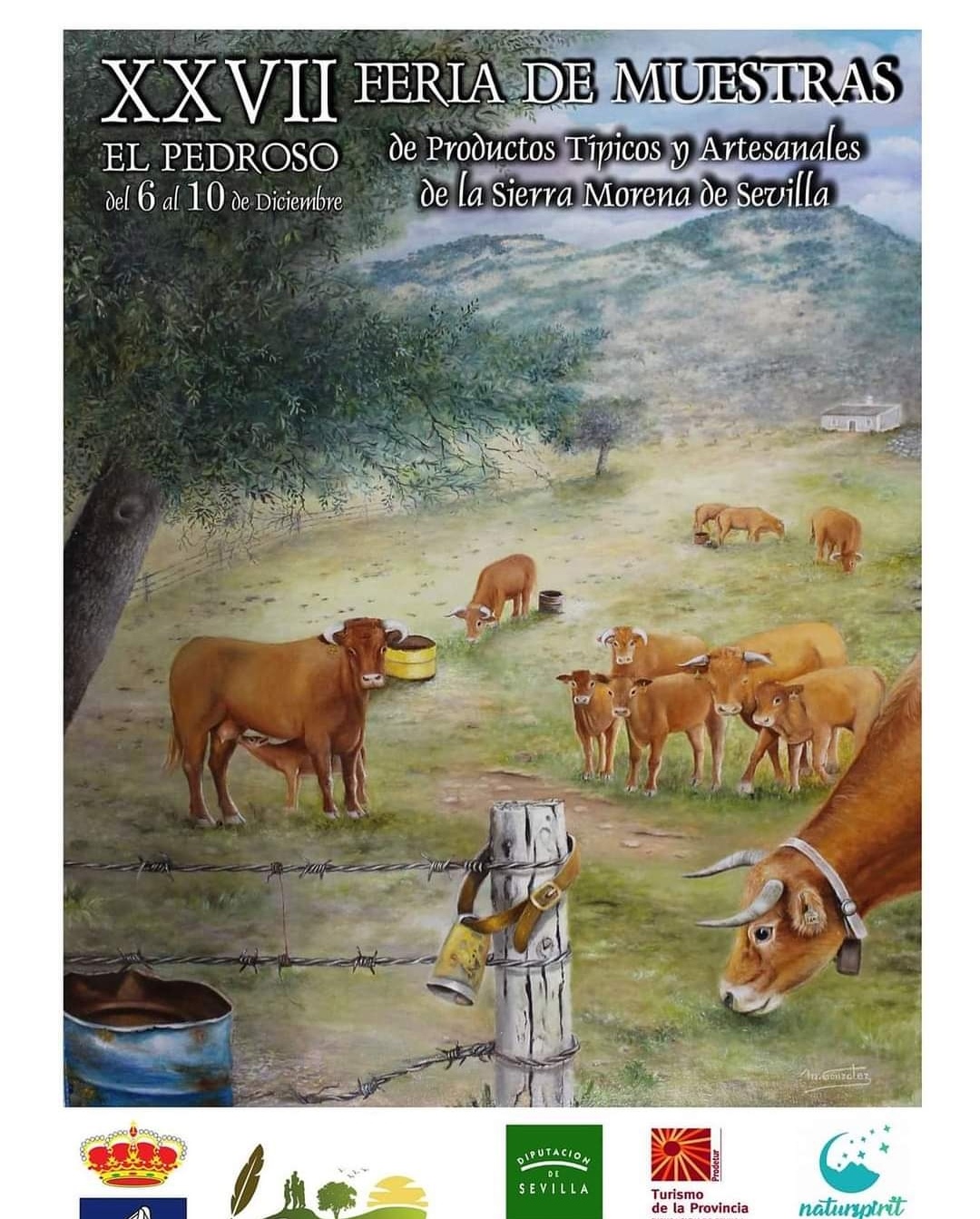 Screenshot_20231115_094515