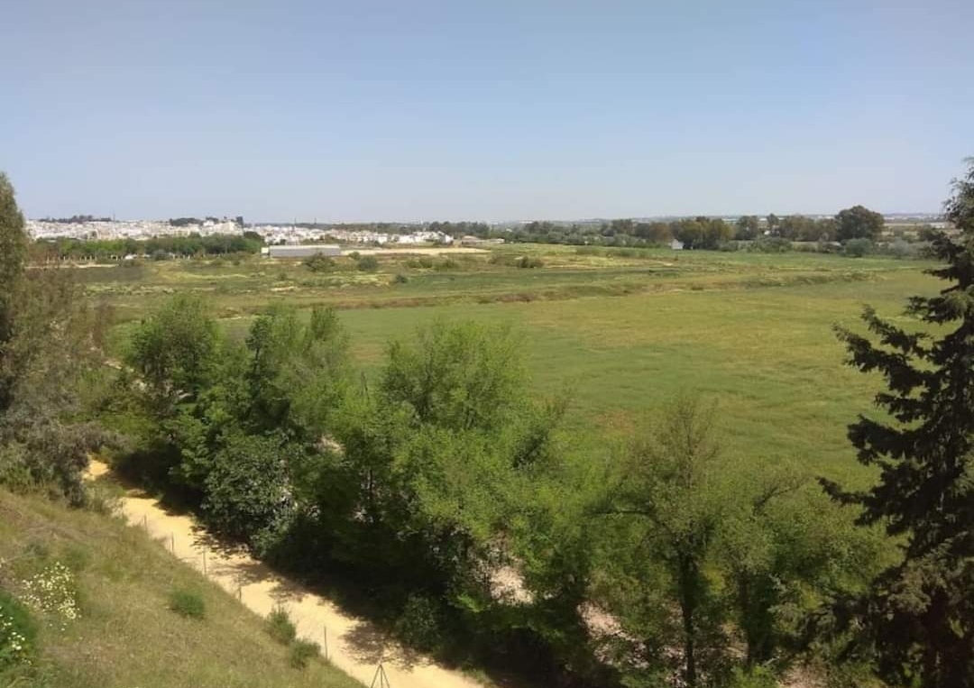 Screenshot_20231219_094000