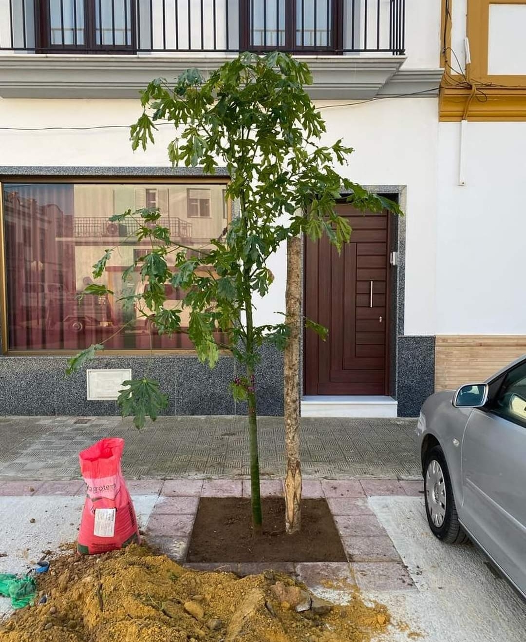 Screenshot_20231221_111942 (1)