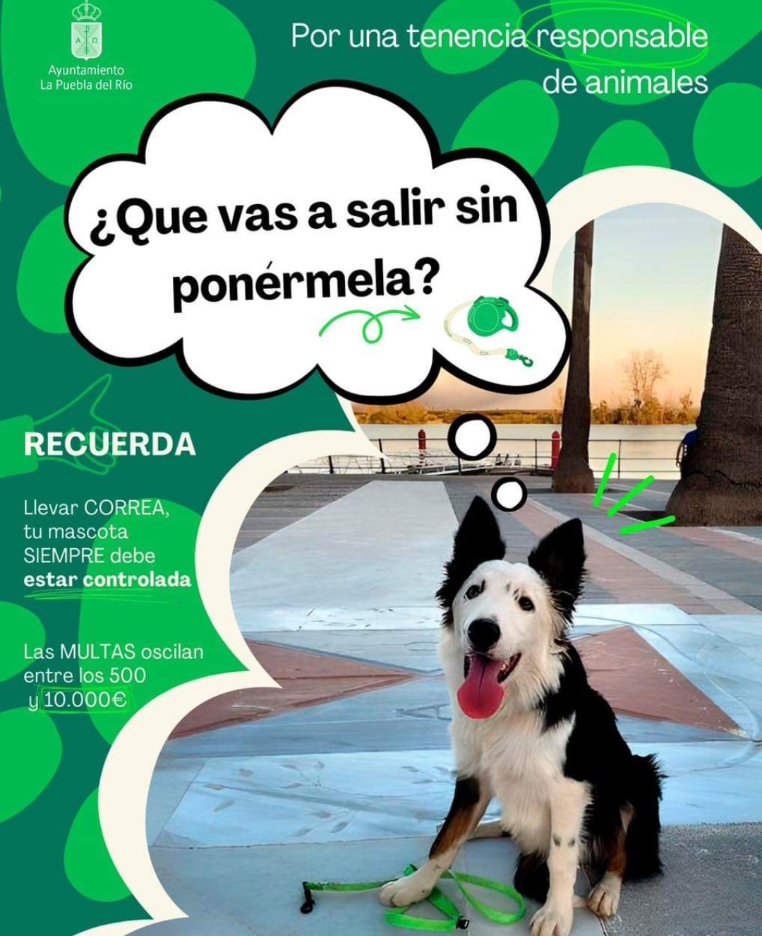 Screenshot_20240125_095210