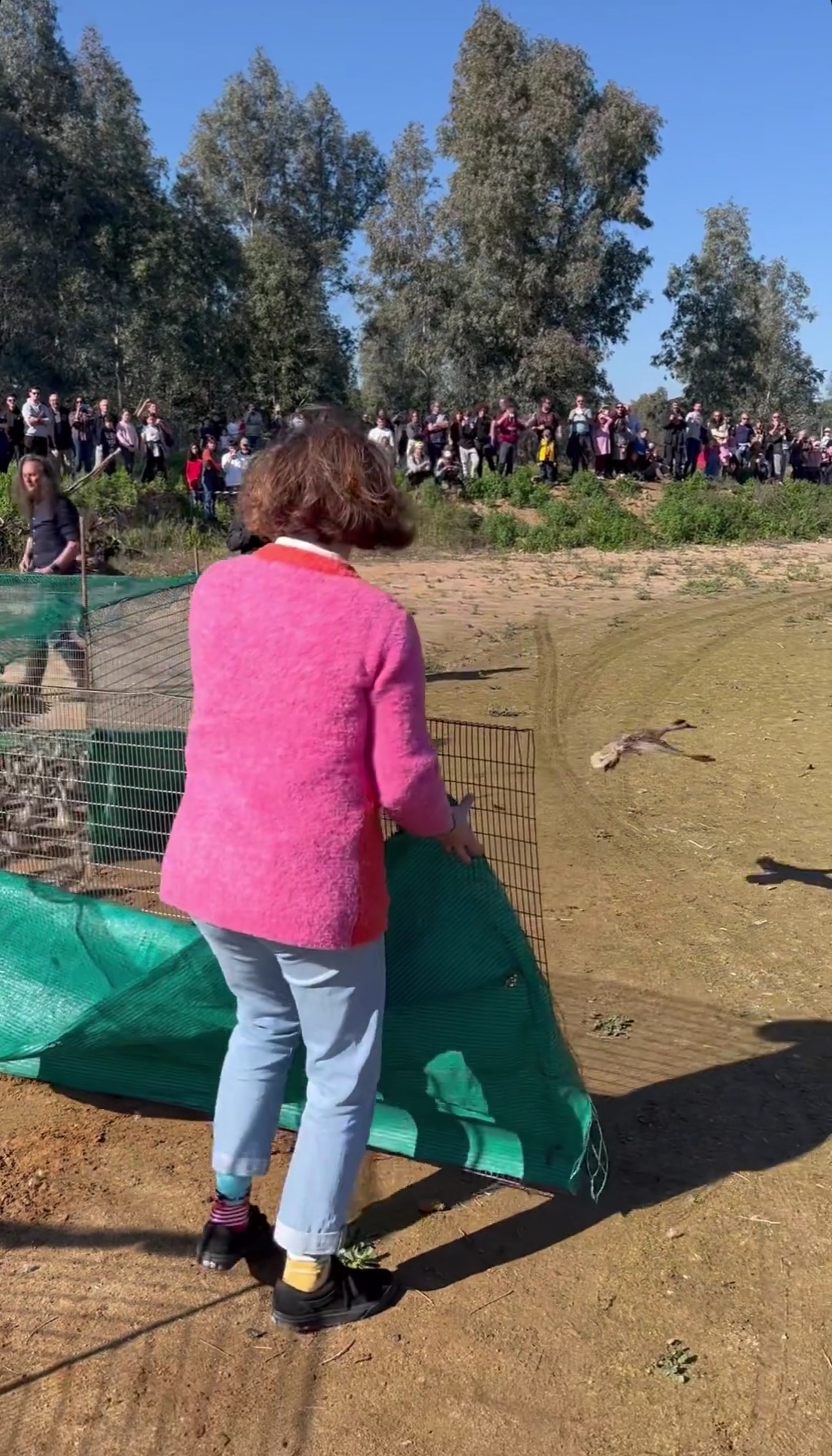 Screenshot_20240205_091926