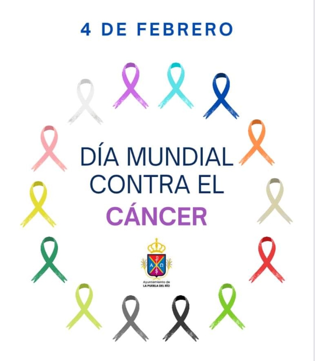 Screenshot_20240205_091958