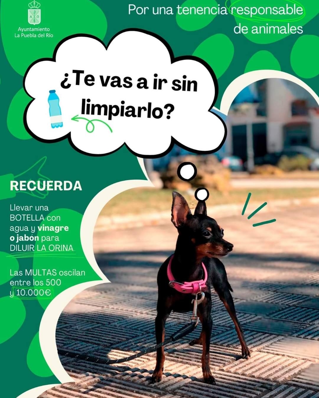 Screenshot_20240208_090722