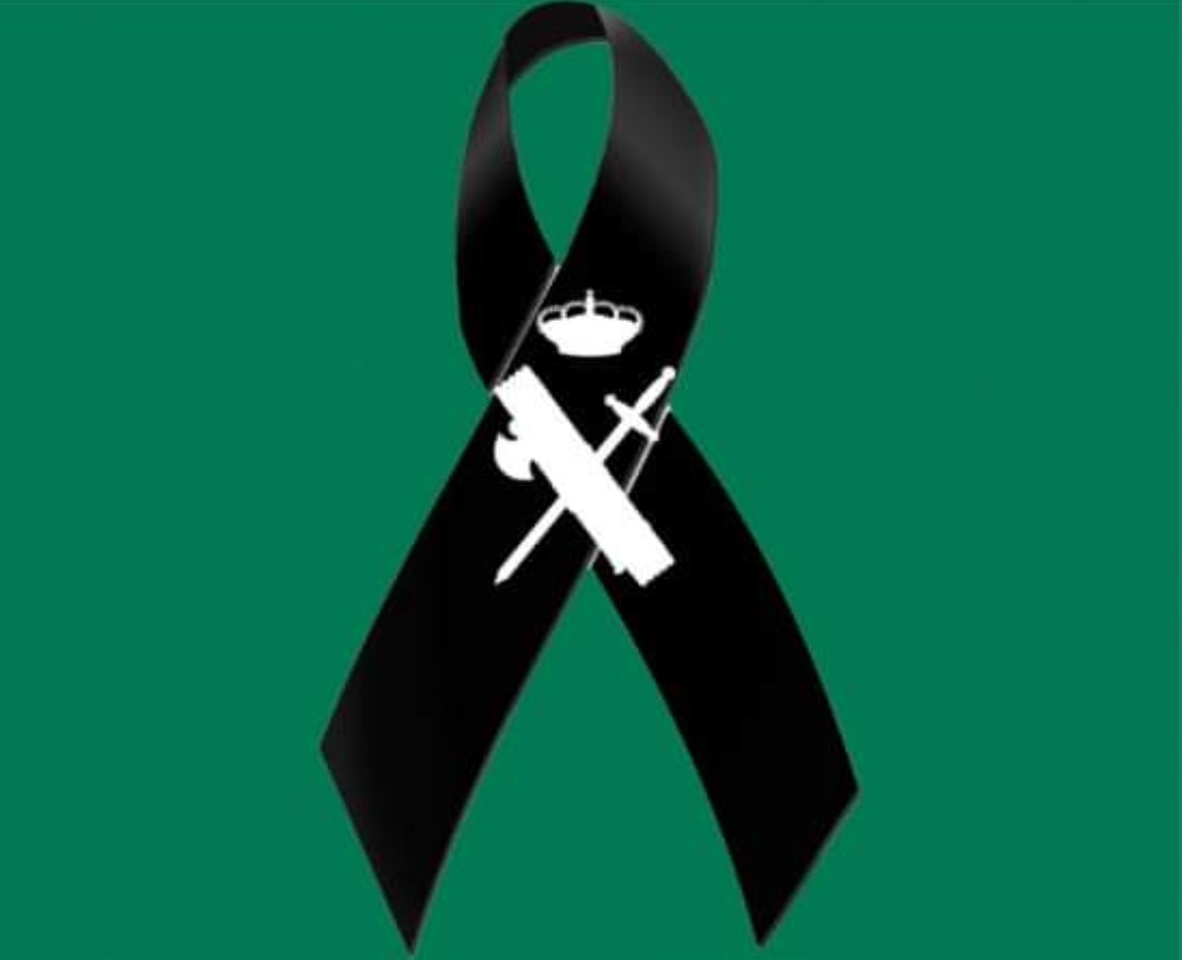 Screenshot_20240213_094426